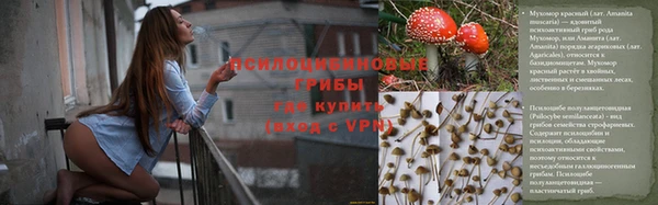 хмурый Сосновка