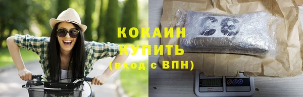 трава Белокуриха