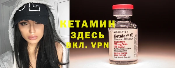 трава Белокуриха