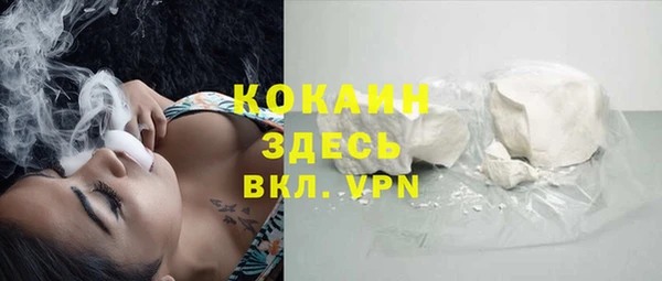 трава Белокуриха